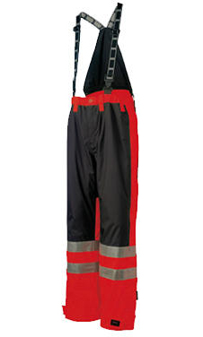 Ludvika Pant